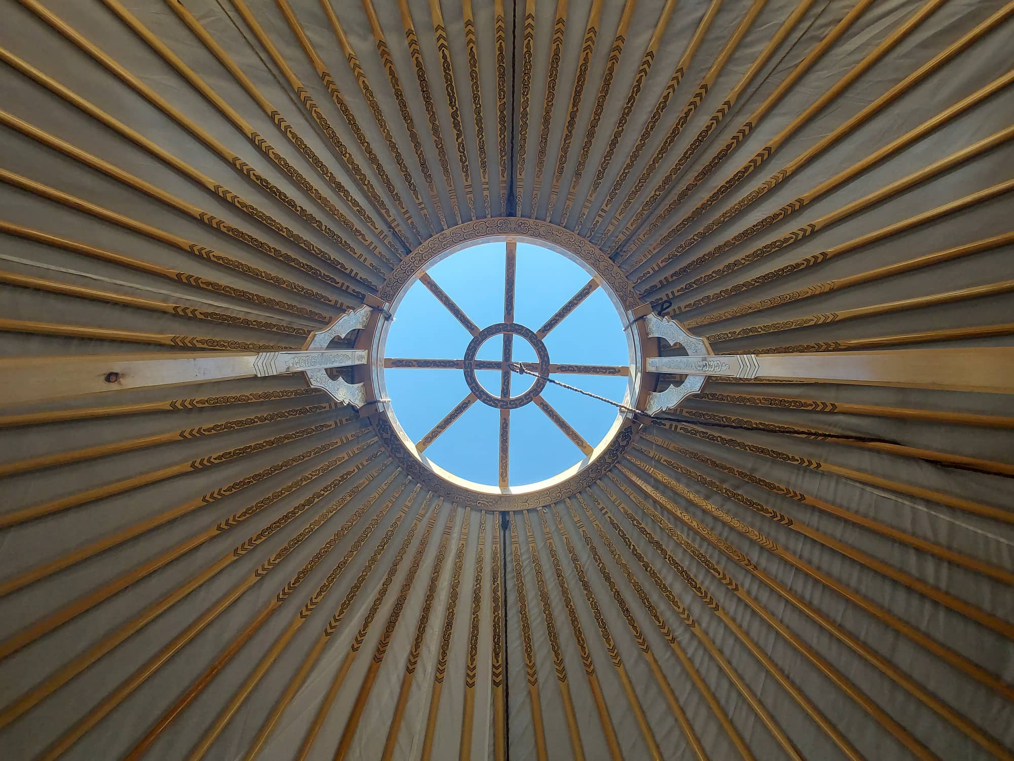 5-Wall Yurt - 254 sq. ft. (18' diameter) - Image 9